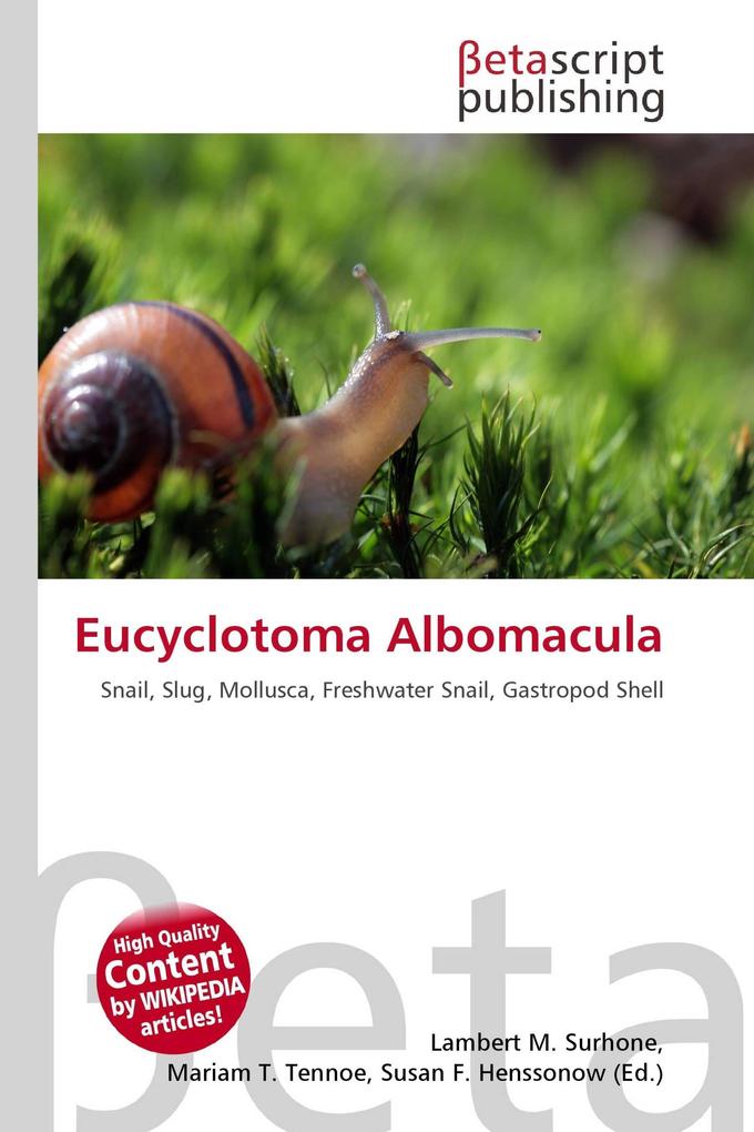 Eucyclotoma Albomacula