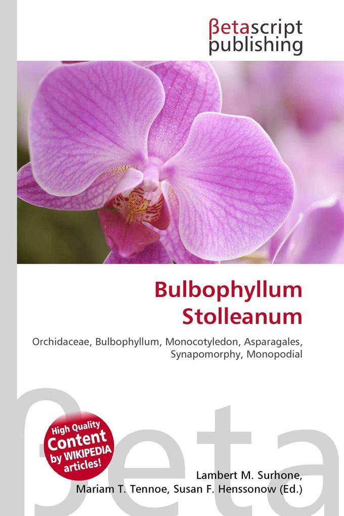 Bulbophyllum Stolleanum