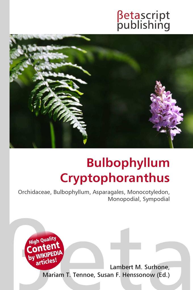 Bulbophyllum Cryptophoranthus