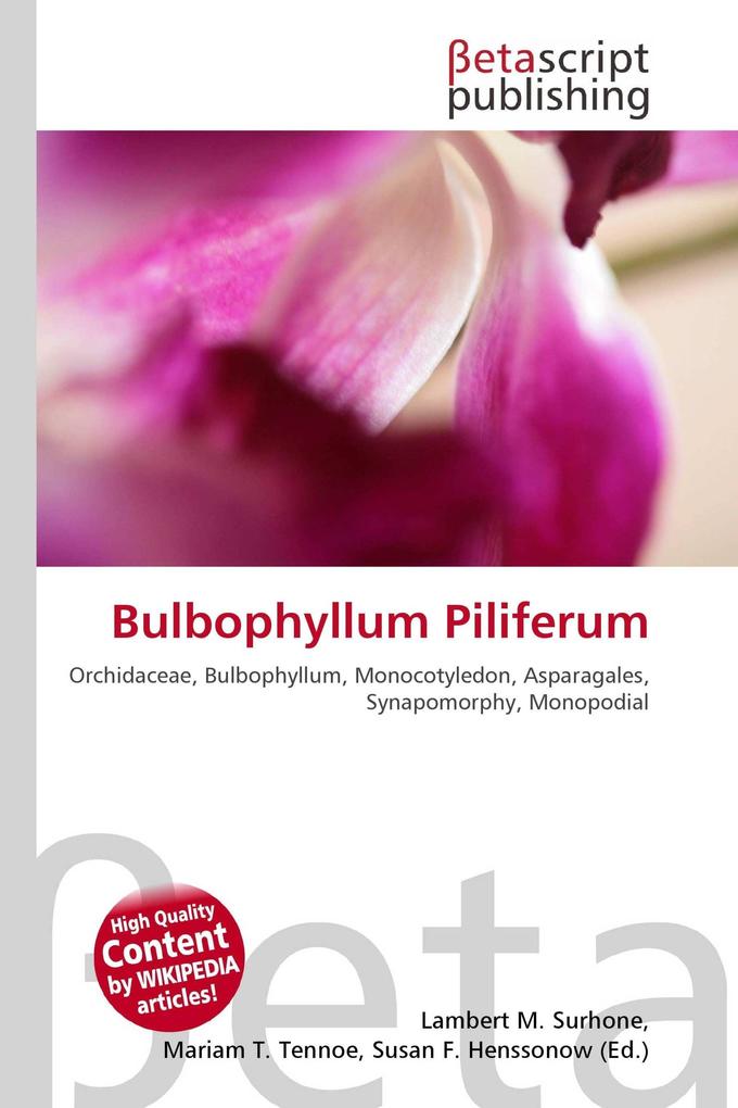 Bulbophyllum Piliferum