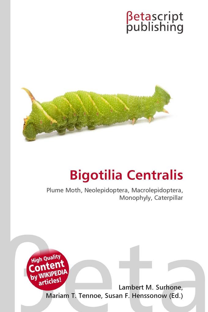 Bigotilia Centralis