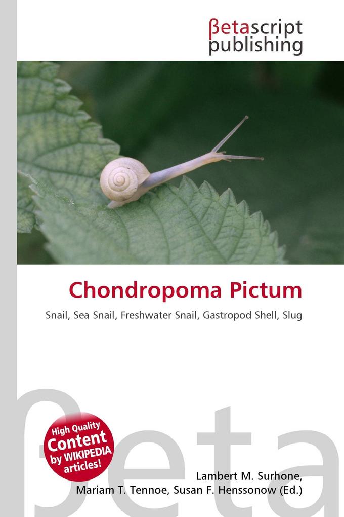 Chondropoma Pictum