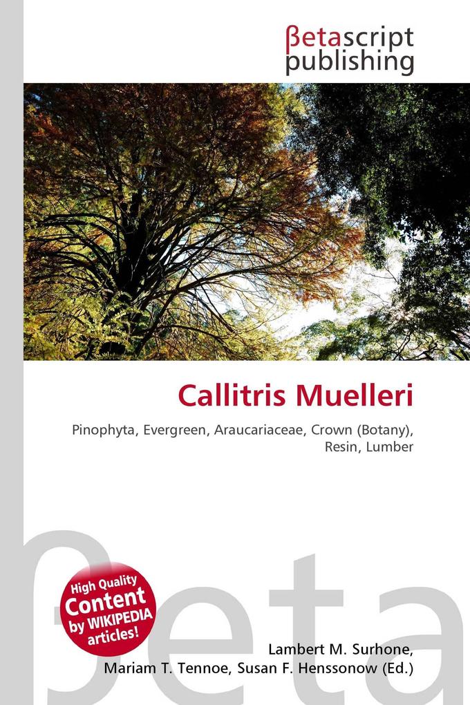 Callitris Muelleri