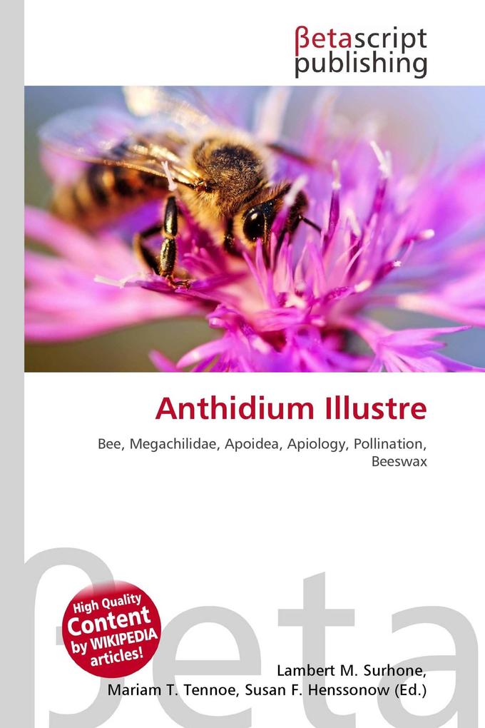 Anthidium Illustre