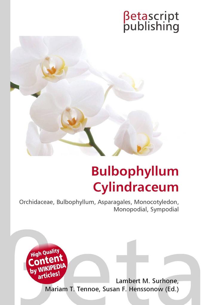 Bulbophyllum Cylindraceum