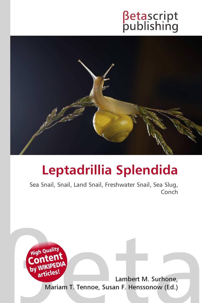 Leptadrillia Splendida
