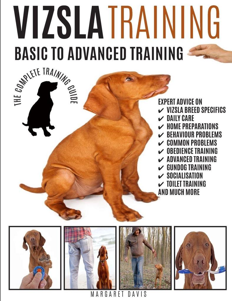 VIZSLA TRAINING