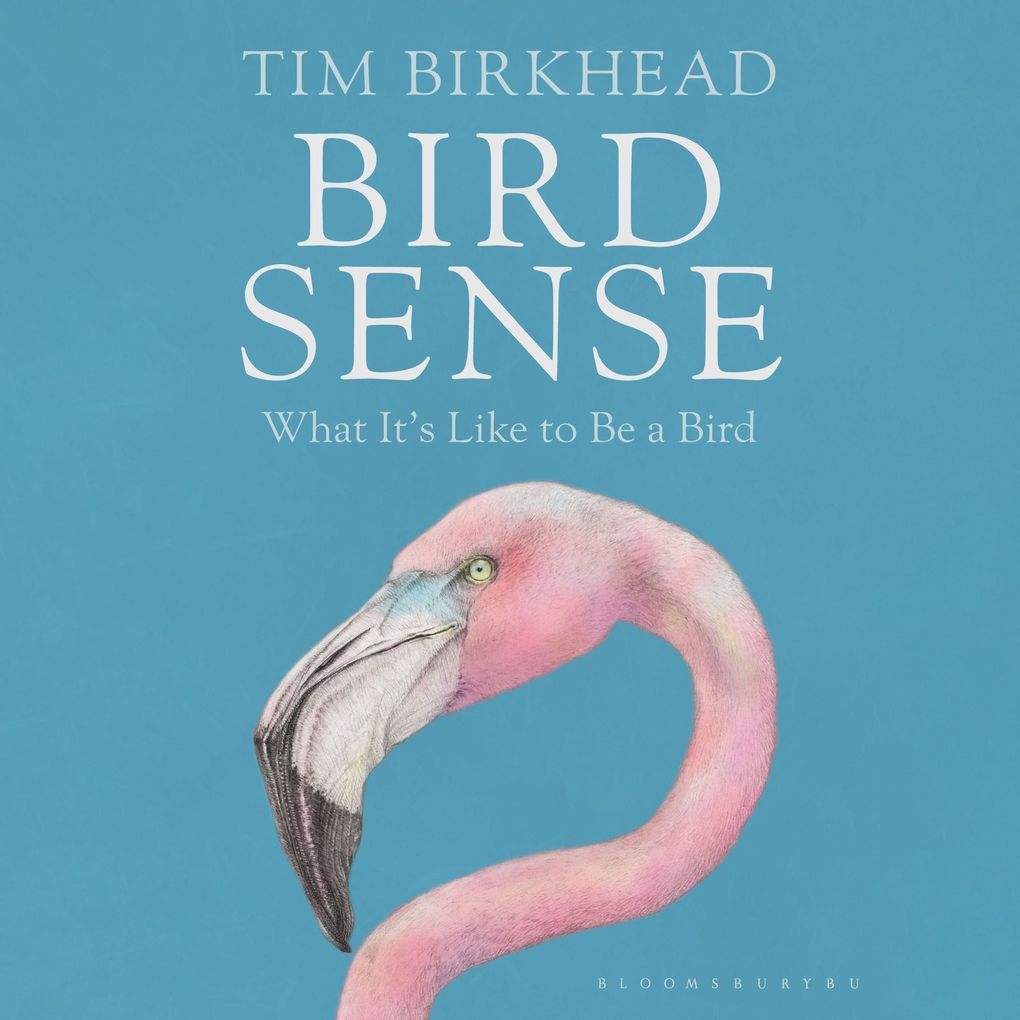 Bird Sense