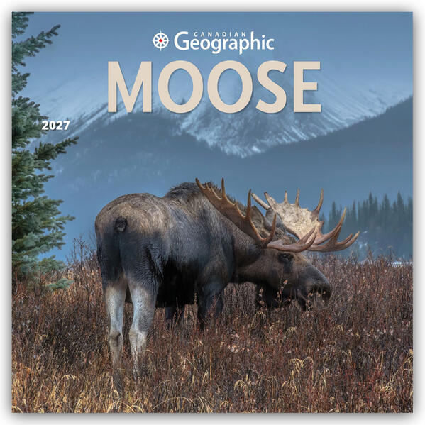 Moose - Elche 2027 - 16-Monatskalender