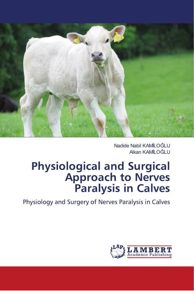 Physiological and Surgical Approach to Nerves Paralysis in Calves