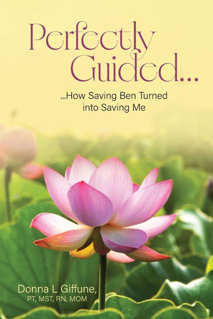 Perfectly Guided...