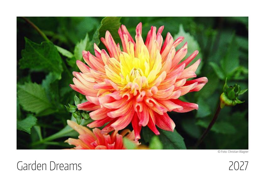 Garden Dreams Kalender 2027