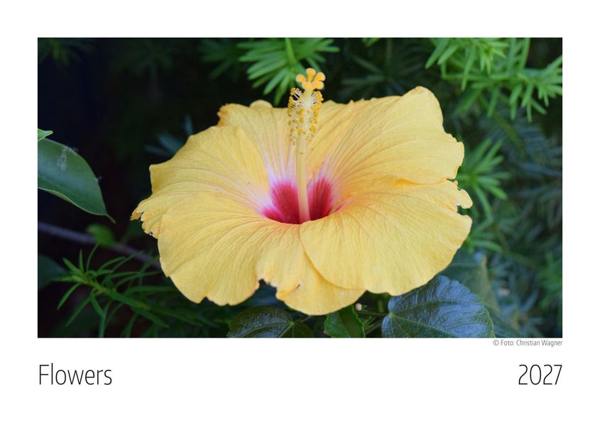 Flowers Kalender 2027