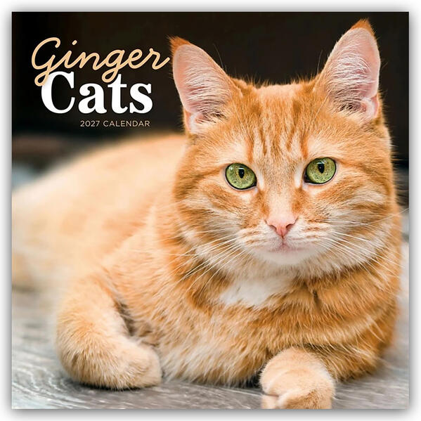 Ginger Cats - Rothaarige Katzen 2027 - Wand-Kalender