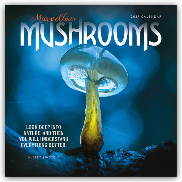 Mushrooms - Pilze 2027 - Wand-Kalender