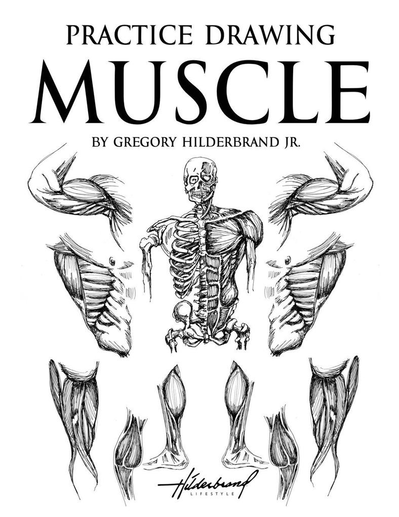 Practice Drawing Muscles