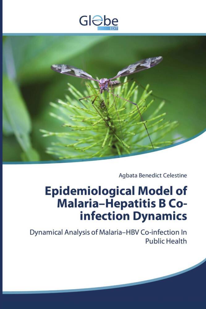 Epidemiological Model of Malaria-Hepatitis B Co-infection Dynamics
