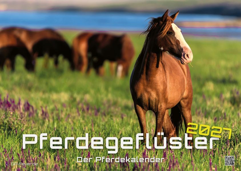 Pferdegeflüster - Der Pferdekalender - 2027 - Kalender DIN A3