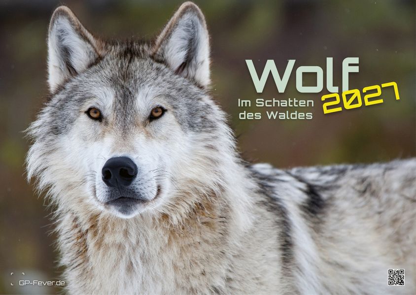 Wolf - Im Schatten des Waldes - 2027 - Kalender DIN A3
