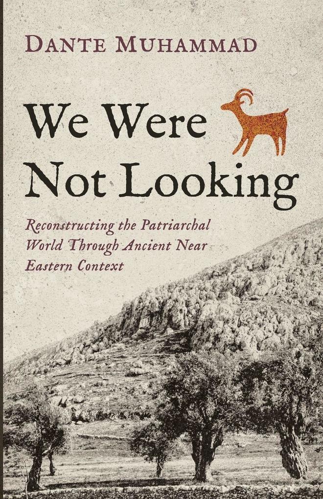 We Were Not Looking