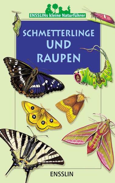 Image of Schmetterlinge und Raupen