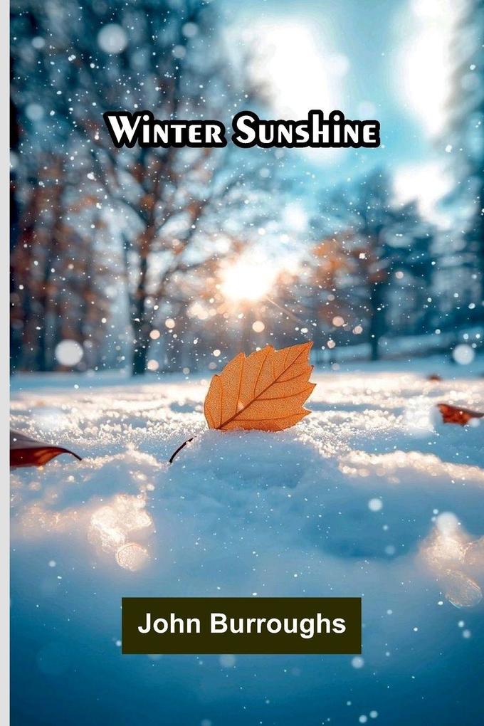 Winter Sunshine