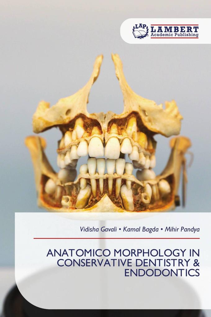ANATOMICO MORPHOLOGY IN CONSERVATIVE DENTISTRY & ENDODONTICS