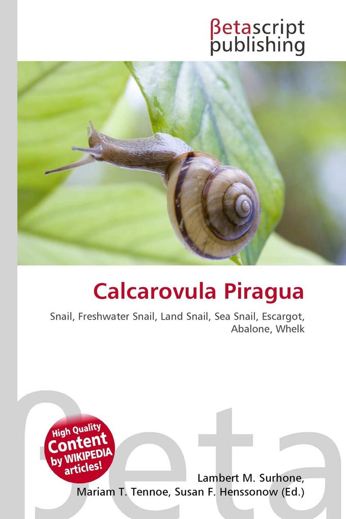 Calcarovula Piragua
