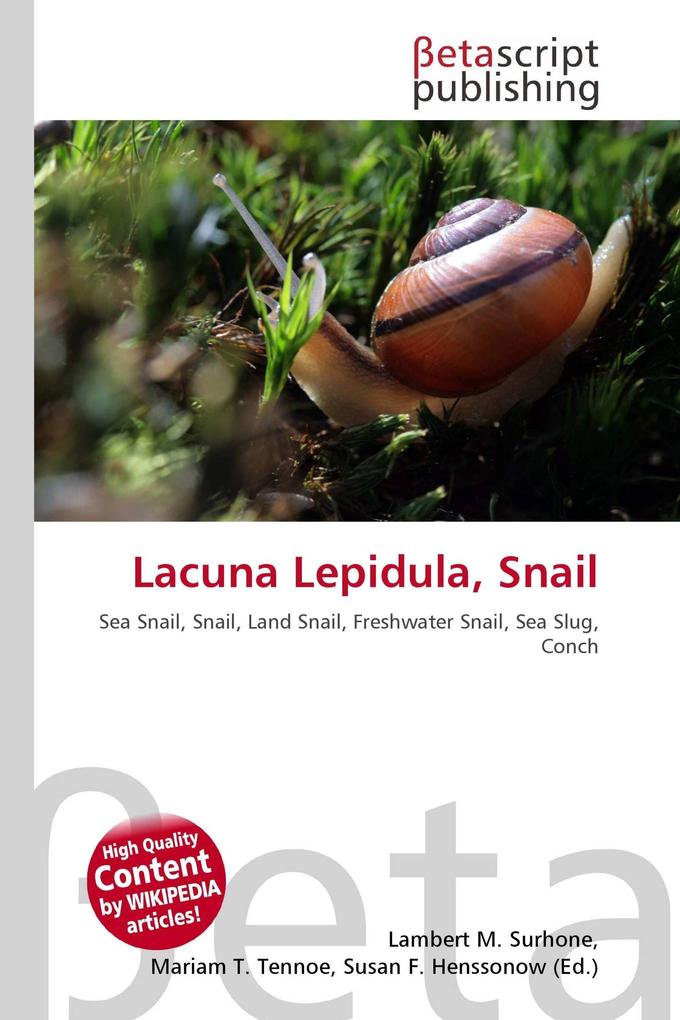 Lacuna Lepidula Snail
