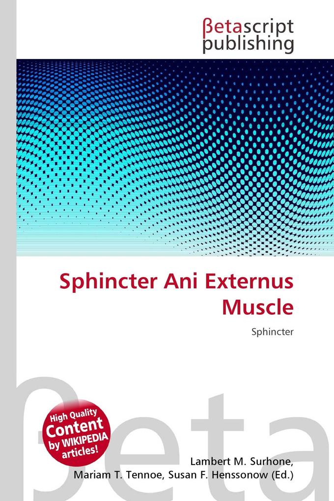 Sphincter Ani Externus Muscle