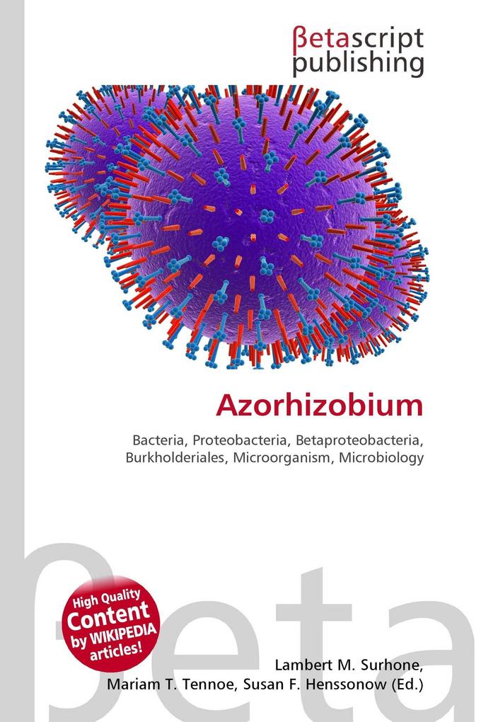 Azorhizobium