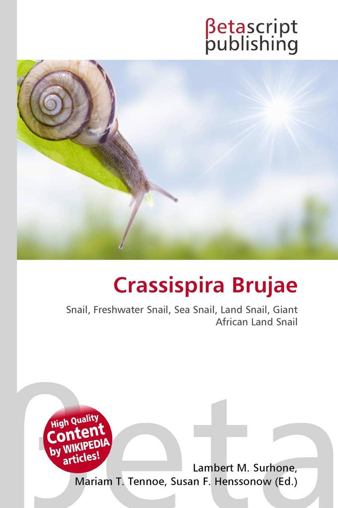 Crassispira Brujae