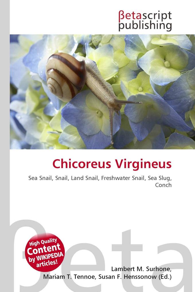 Chicoreus Virgineus