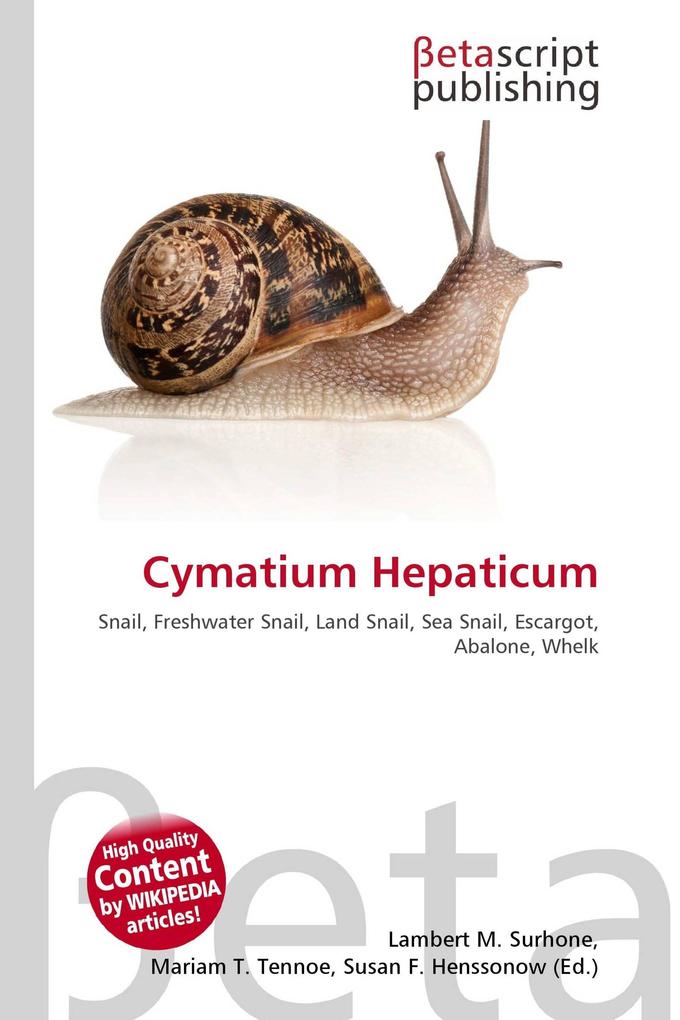 Cymatium Hepaticum