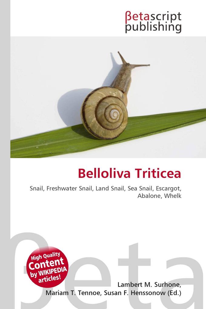 Belloliva Triticea