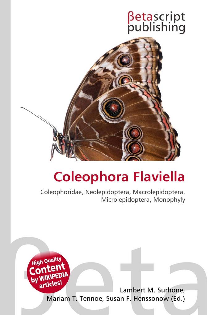 Coleophora Flaviella