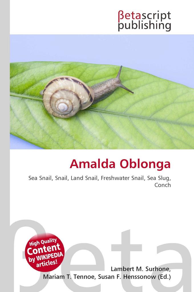 Amalda Oblonga