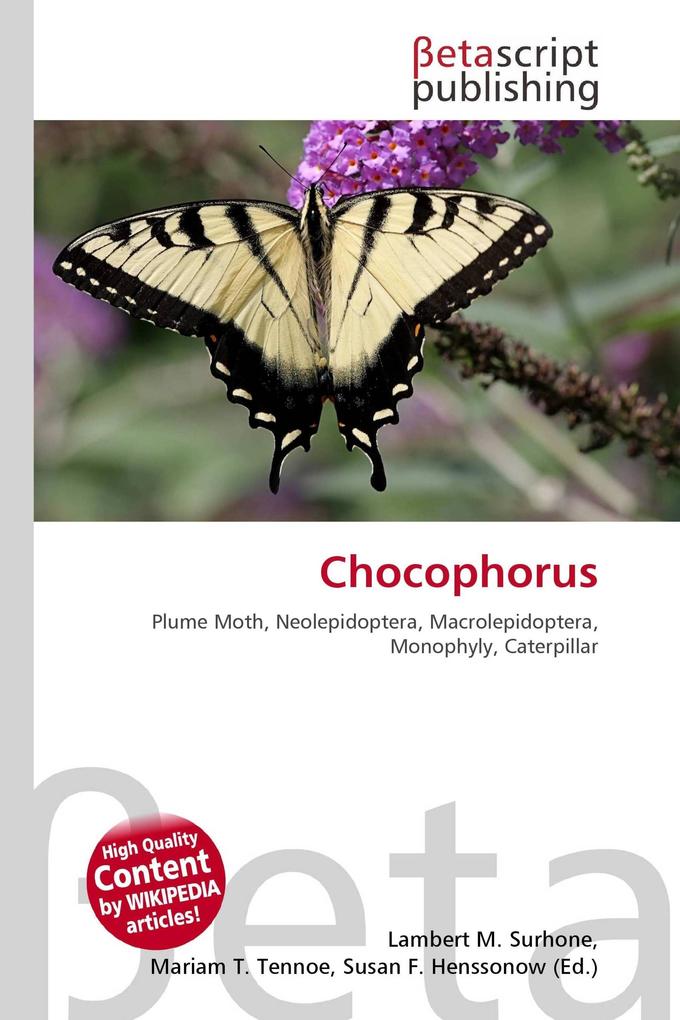 Chocophorus