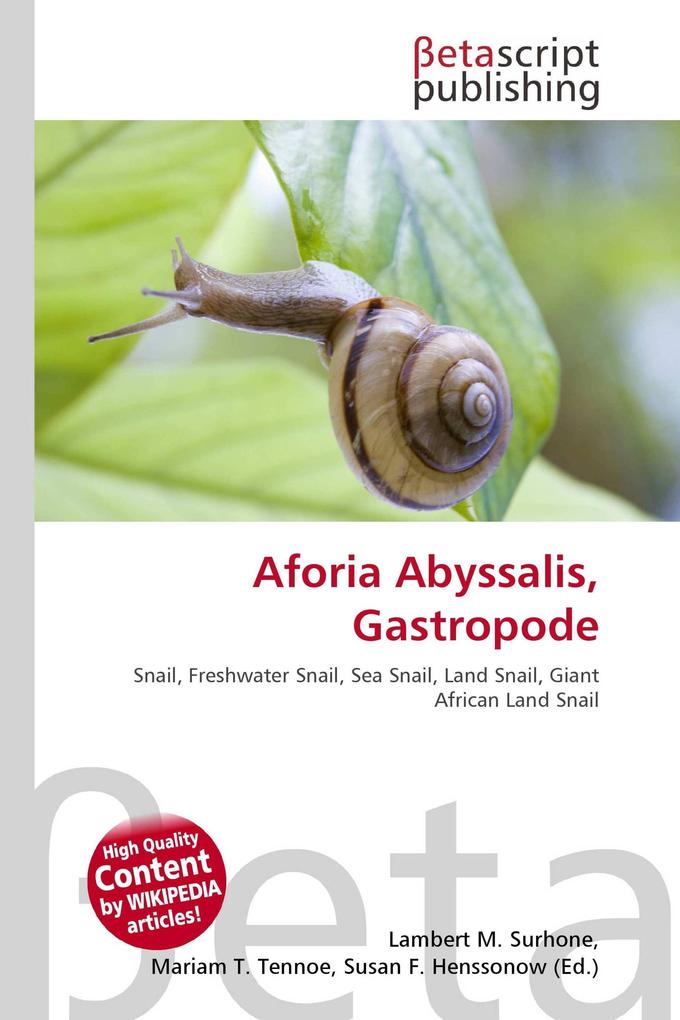 Aforia Abyssalis Gastropode