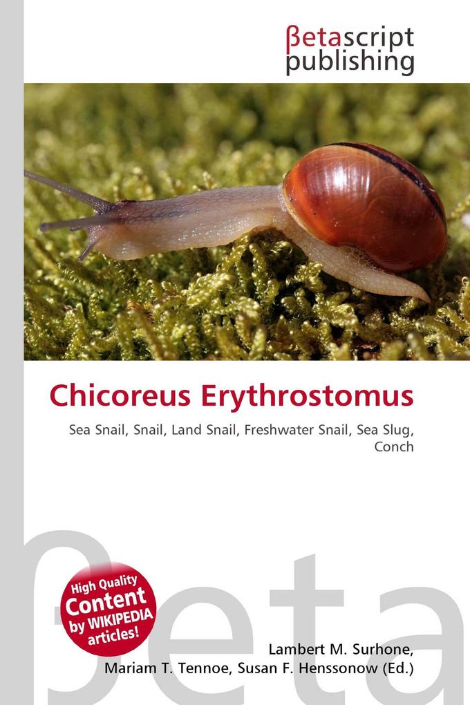 Chicoreus Erythrostomus