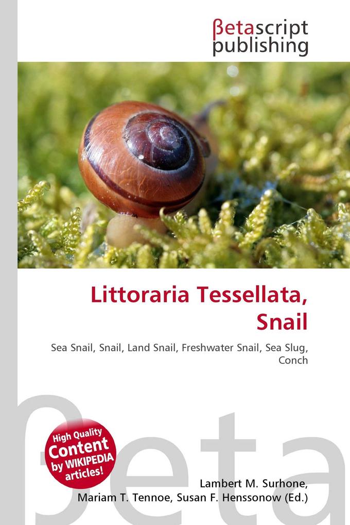 Littoraria Tessellata Snail