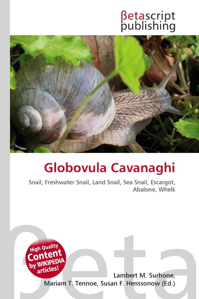 Globovula Cavanaghi