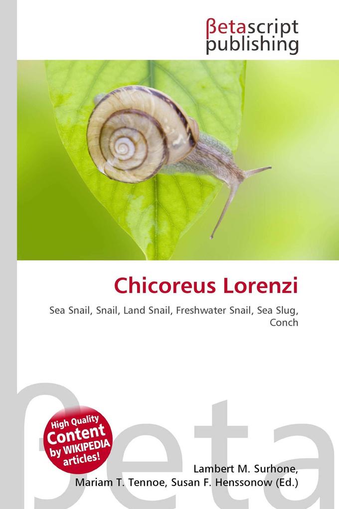 Chicoreus Lorenzi