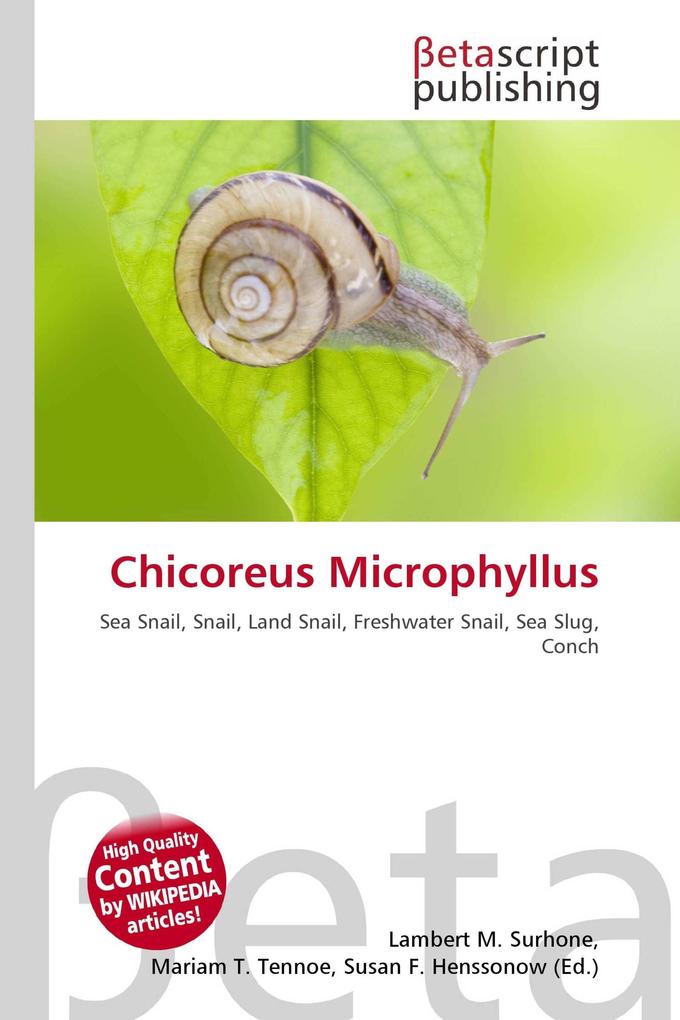 Chicoreus Microphyllus