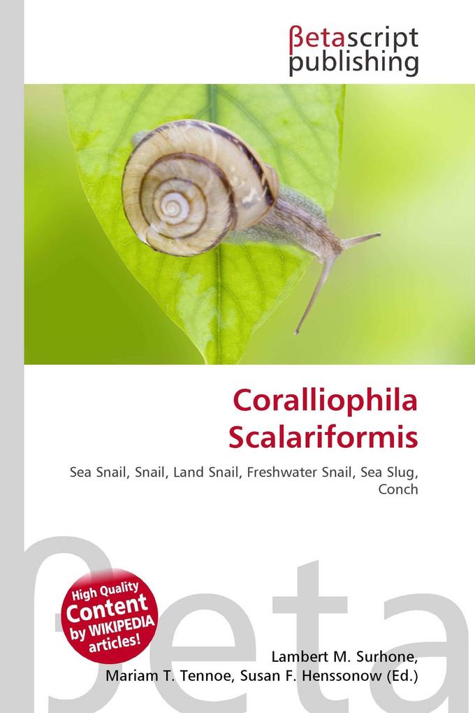 Coralliophila Scalariformis