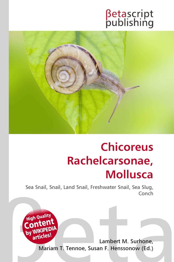 Chicoreus Rachelcarsonae Mollusca