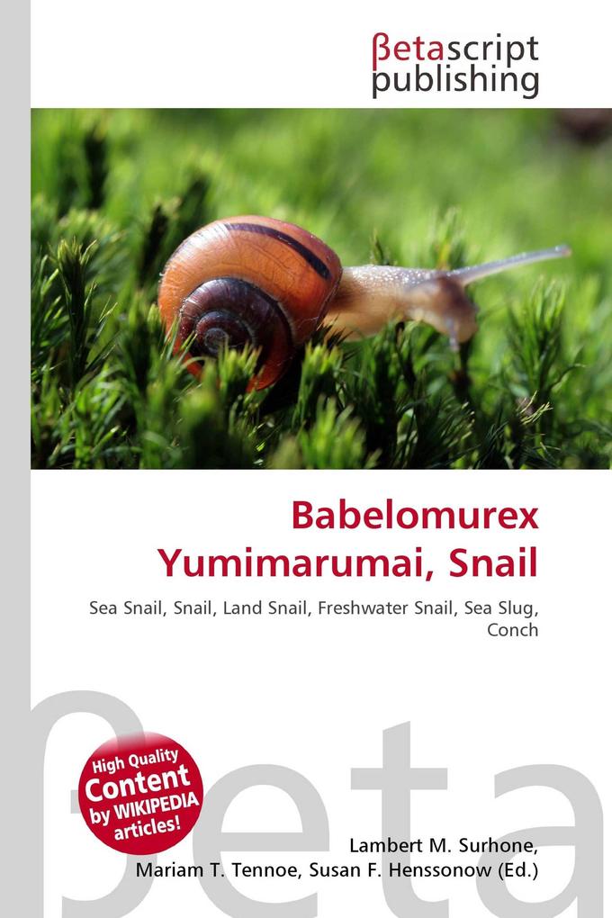 Babelomurex Yumimarumai Snail