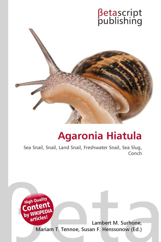 Agaronia Hiatula