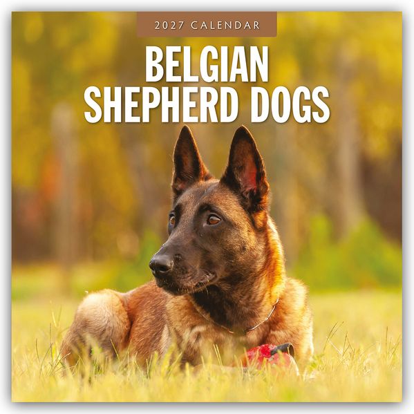 Belgian Shepherd - Belgischer Schäferhund 2027 - 16-Monatskalender