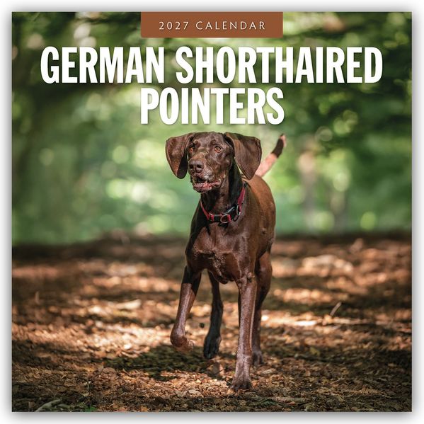 German Shorthaired Pointers - Deutscher Kurzhaar - Deutscher Kurzhaariger Vorstehhund 2027 - 16-Monatskalender